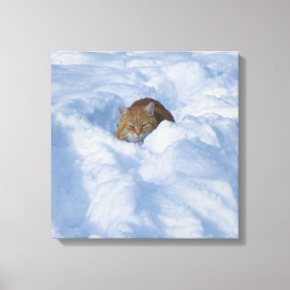 Cat in the snow canvas print