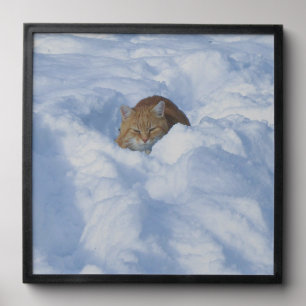 Cat in the snow peel and stick photo tile