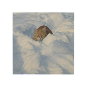 Cat in the snow wood wall art