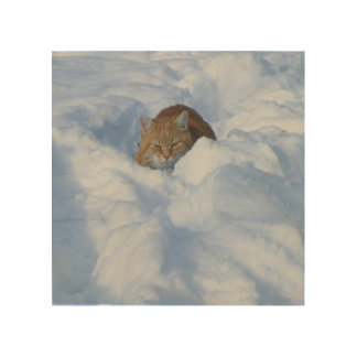 Cat in the snow wood wall art