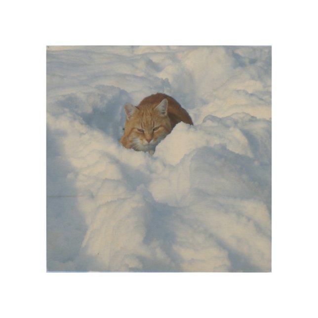Cat in the snow wood wall art (Front)