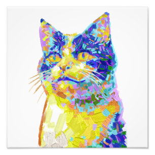 Cat in the Sunlight Photo Print