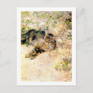 Cat in the Sunshine, Bruno Liljefors Postcard