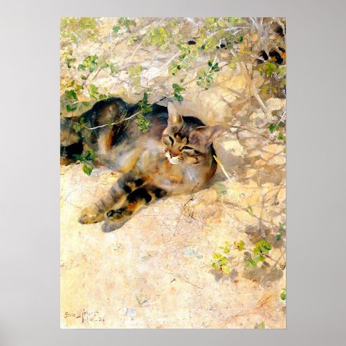 Cat in the Sunshine Bruno Liljefors Poster