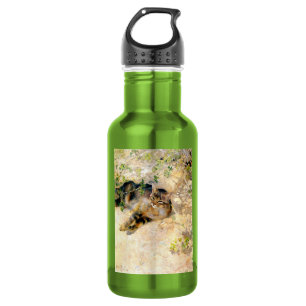 Cat in the Sunshine, Bruno Liljefors Stainless Steel Water Bottle