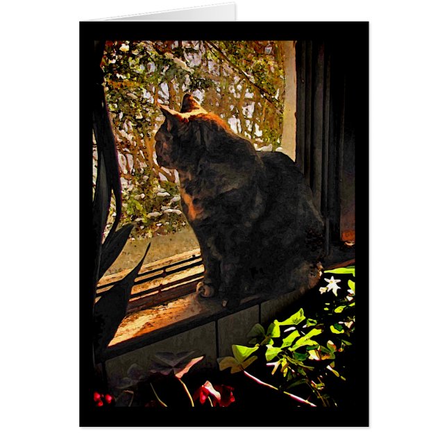 Cat in the Window Blank Card (Front)