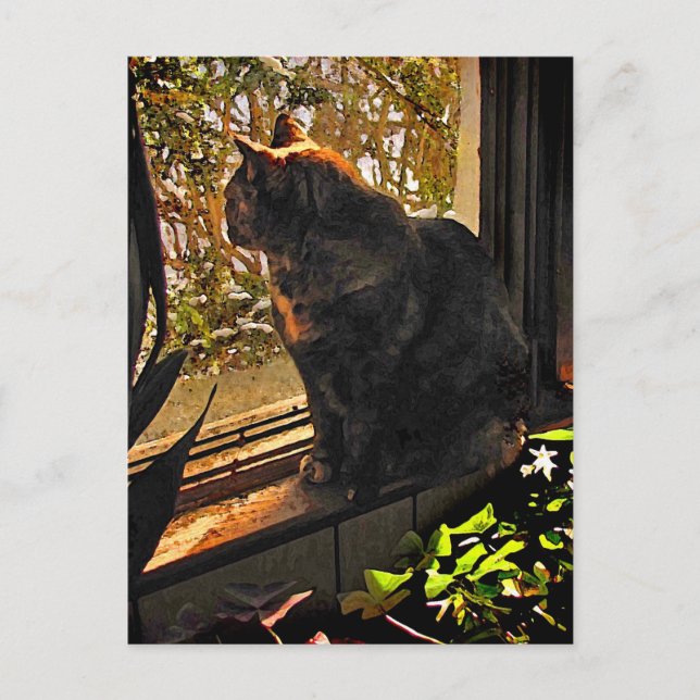 Cat in the Window Postcard (Front)