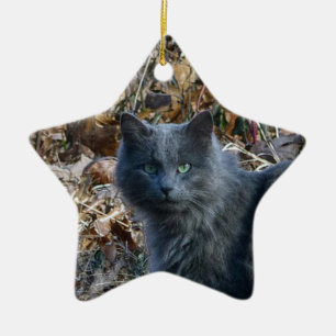 Cat in the Woods Ceramic Ornament