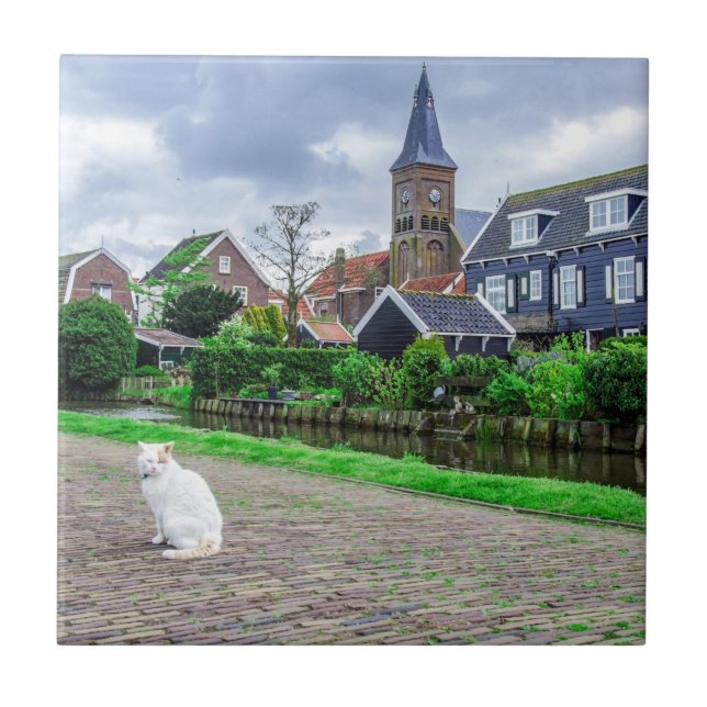 Cat in traditional fishing village ceramic tile (Front)