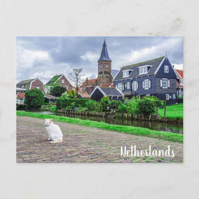 Cat in traditional fishing village postcard (Front)