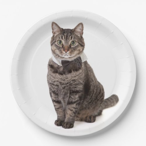 Cat in Tuxedo Paper Plates