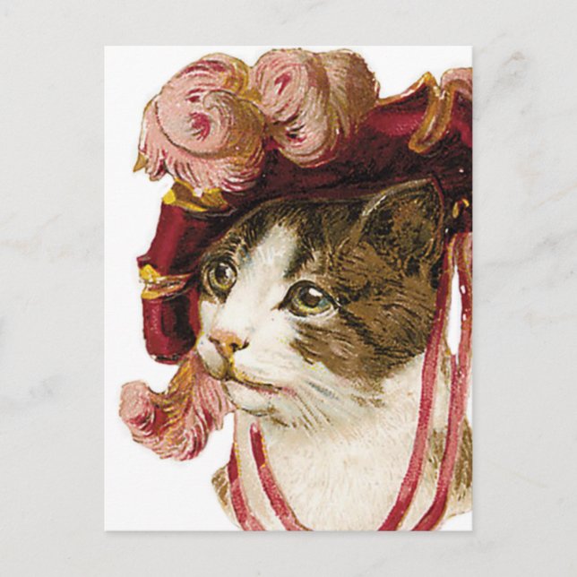 Cat in Victorian Hat Postcard (Front)
