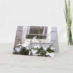 Cat in Window Christmas Pretty Black & White Holiday Card