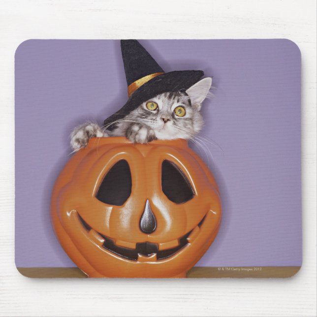 Cat in witch hat inside pumpkin mouse pad (Front)