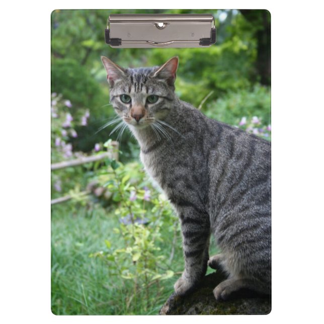 Cat in Zen Garden Clipboard (Front)