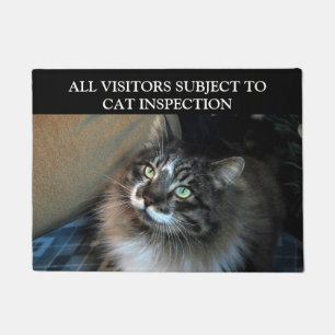 Cat Inspection Irresistible Zorro Doormat