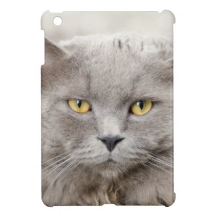 cat iPad mini cover