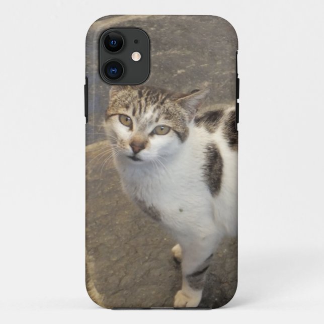 Cat iPhone 5 case-mate Case (Back)
