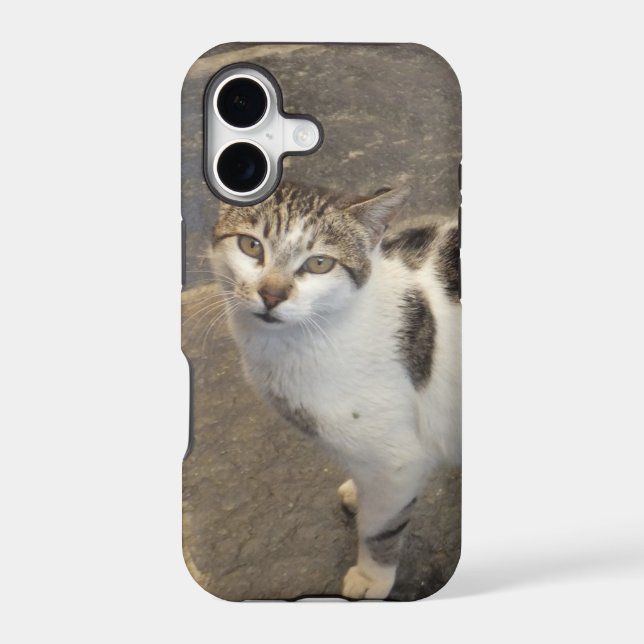 Cat iPhone 5 case-mate Case (Back)