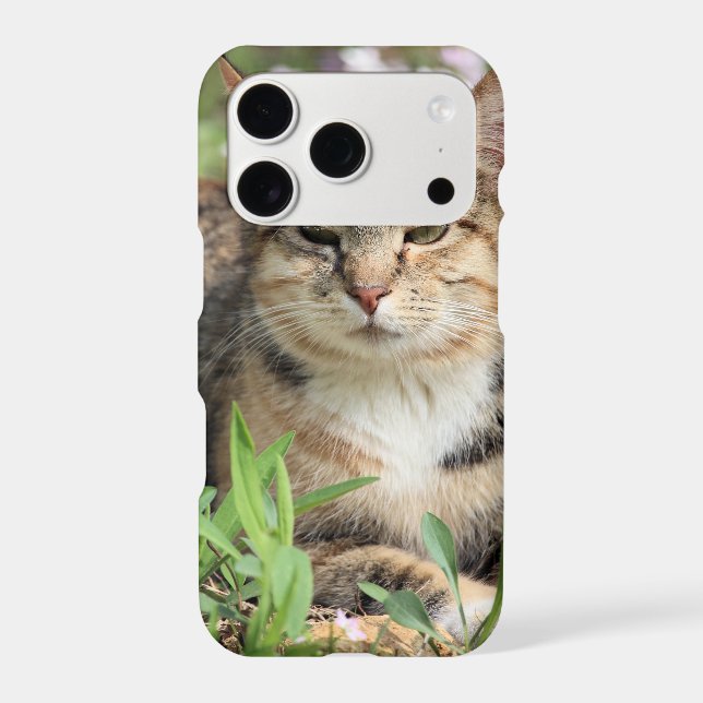 Cat Iphone Case (Back)