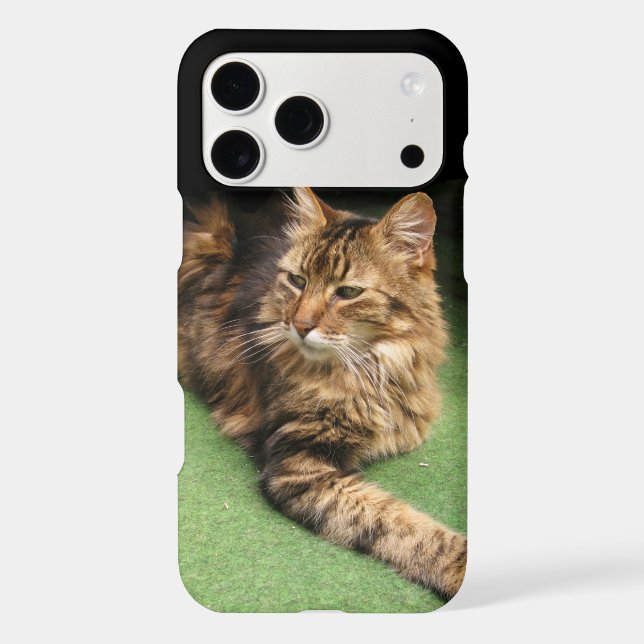 Cat Iphone Case (Back)