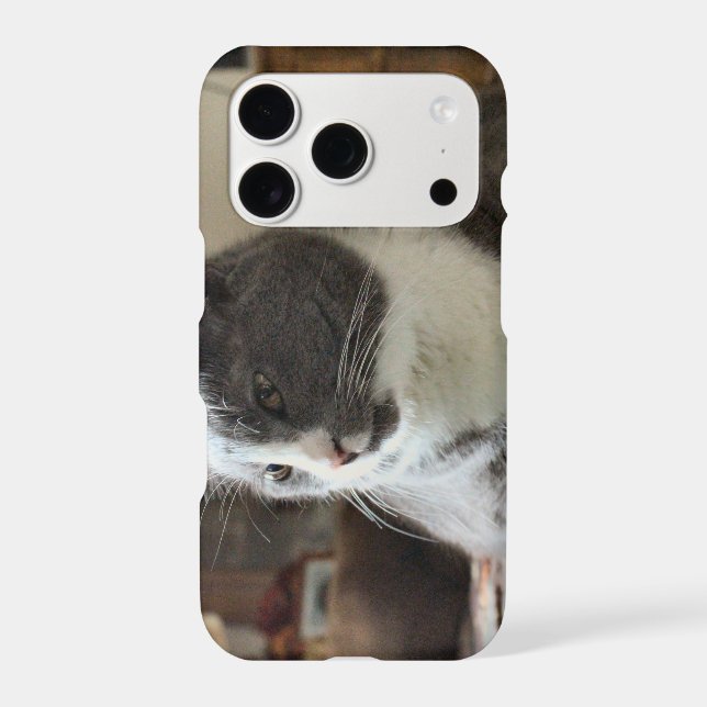 Cat Iphone Case (Back)
