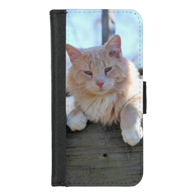 Cat iPhone Wallet Case (Front)