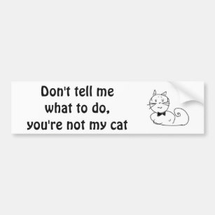 Cat is my boss bumper sticker