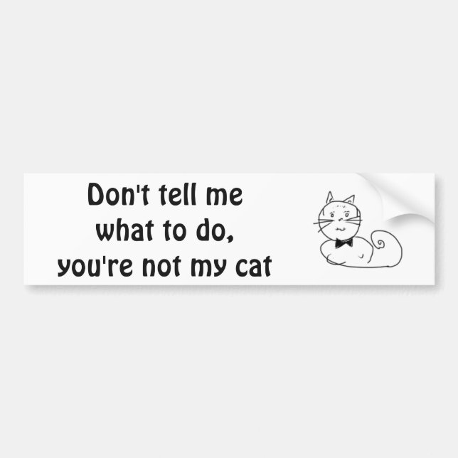 Cat is my boss bumper sticker (Front)