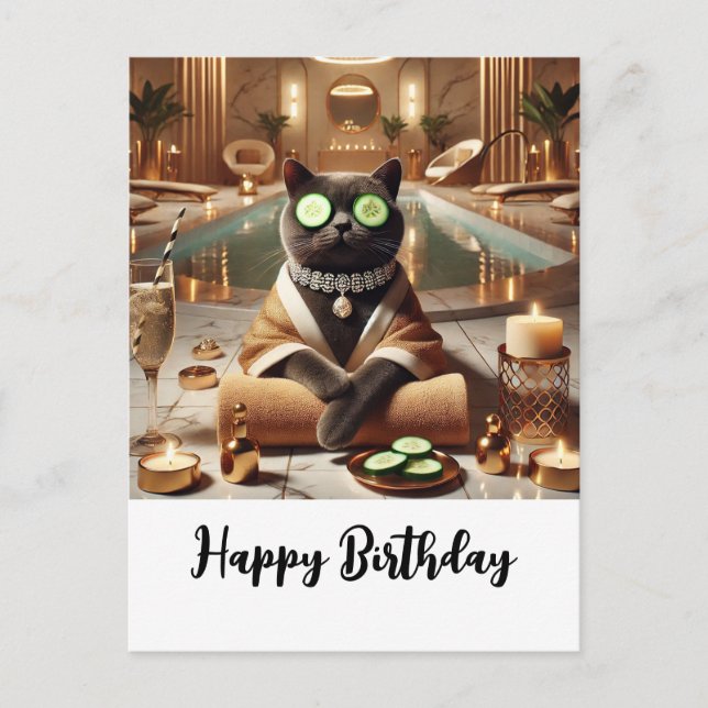 Cat is relaxing in spa postcard (Front)
