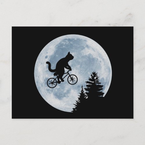 Cat is riding bicycle on the moon background postcard