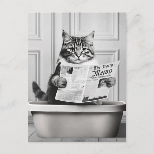 Cat is sitting on the Toilet, cat reading a news Postcard (Front)
