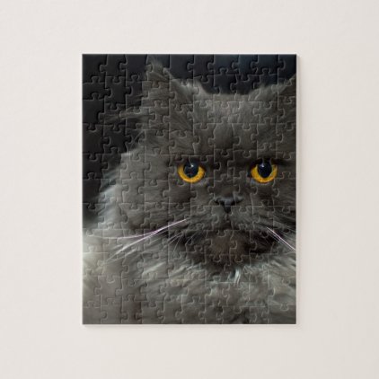 cat jigsaw puzzle