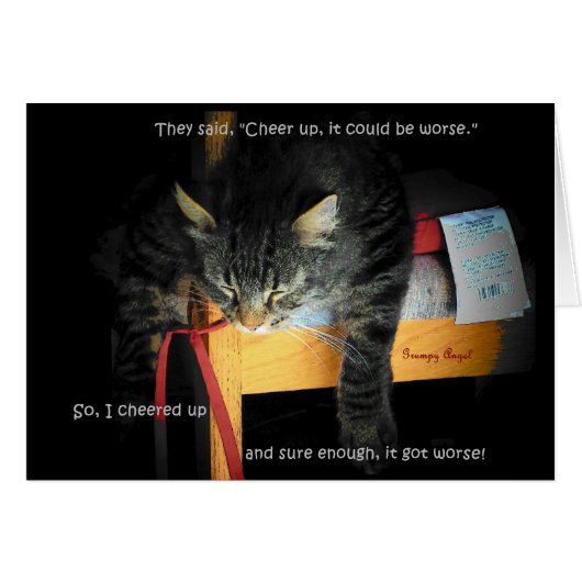 Cat Jokes - Depressed Kitty Cards (Front Horizontal)