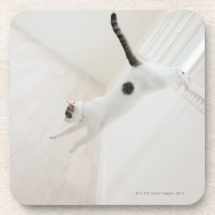 Cat jumping drink coaster