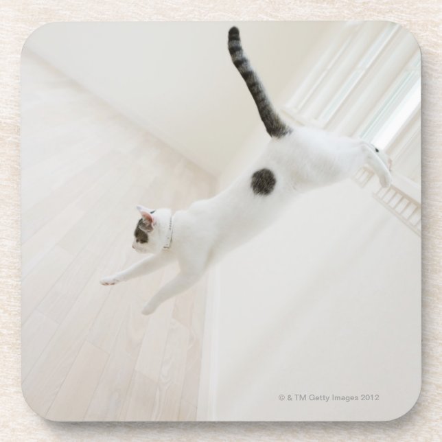 Cat jumping drink coaster (Front)