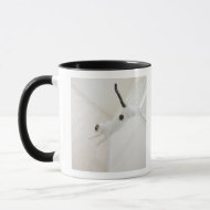 Cat jumping mug