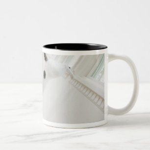 Cat jumping Two-Tone coffee mug
