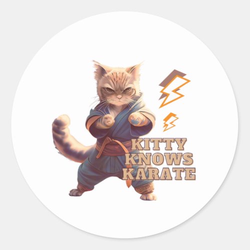 Cat Karate Theme Funny Caption Design  Classic Round Sticker