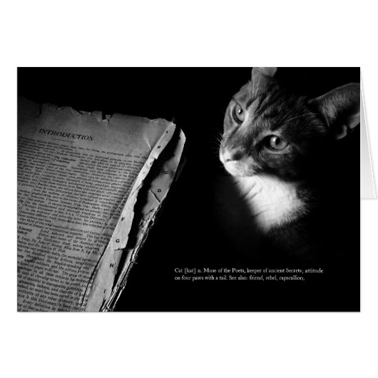 Cat [kat] cards (Front Horizontal)