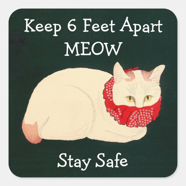 Cat Keeping 6 Feet Apart Square Sticker (Front)