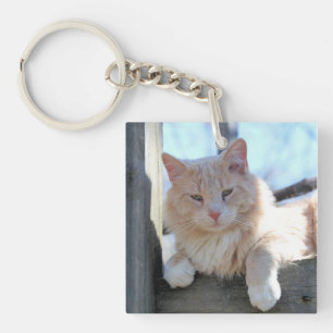 Cat Keychain