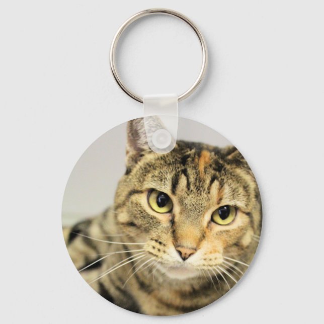 Cat  keychain (Front)
