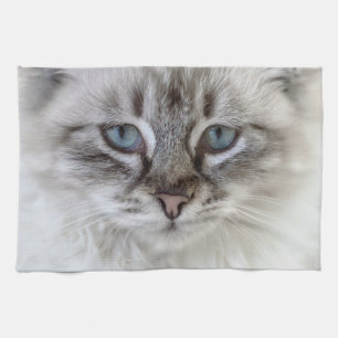 Cat Kitchen Towels