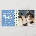 Cat/Kitten Adoption Announcement