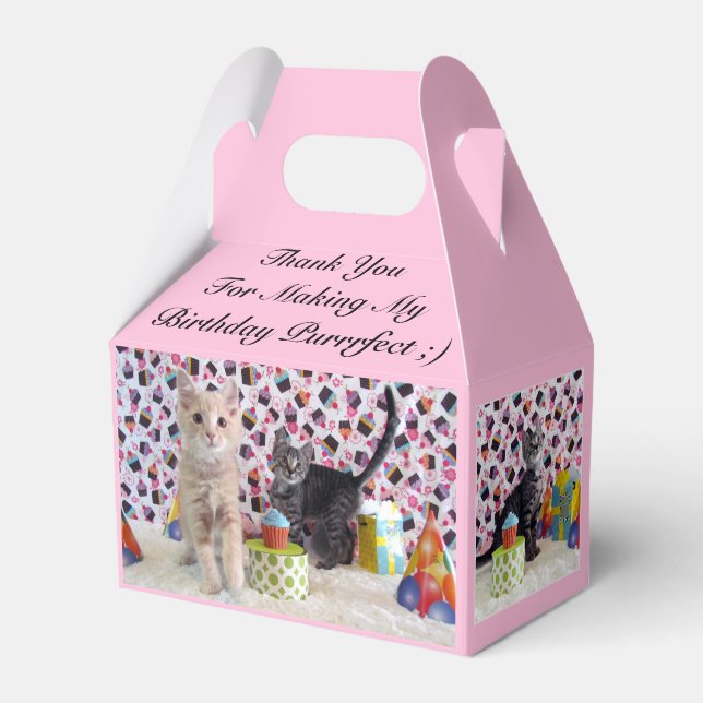 Cat / Kitten Birthday by Patton & Buffington  Favor Boxes (Front Side)