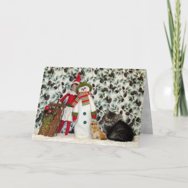 Cat, Kitten, Christmas, Rescue, Photo Holiday Card (Front)