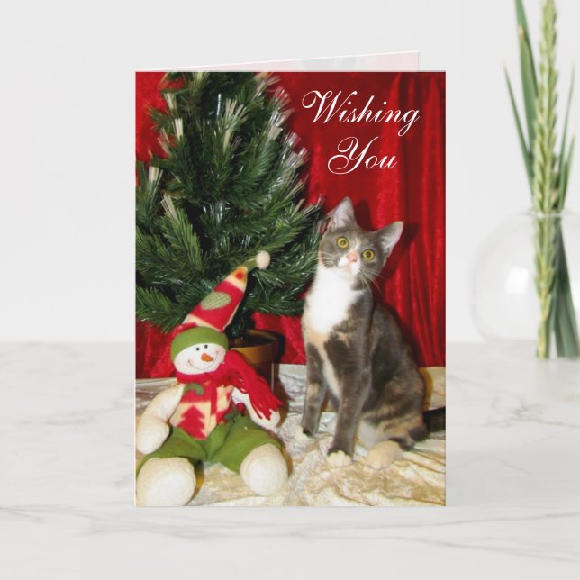 Cat, Kitten, Christmas, Rescue, Photo Holiday Card (Front)