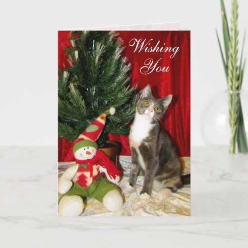 Cat Kitten Christmas Rescue Photo Holiday Card