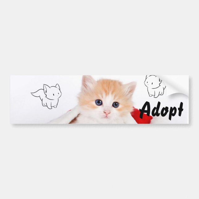 Cat Kitten Dog Adopt Bumper Sticker (Front)